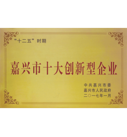 Top Ten Innovative Enterprises In Jiaxing City
